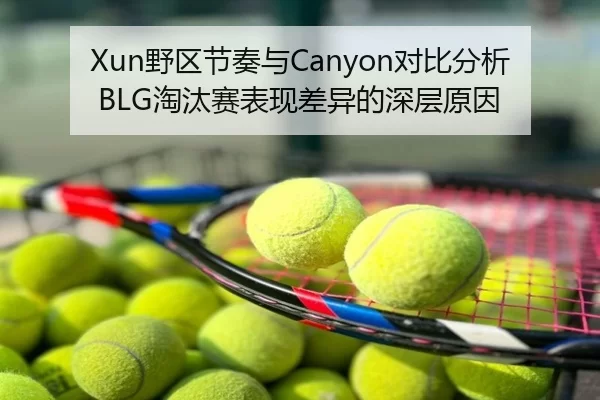 Xun野区节奏与Canyon对比分析BLG淘汰赛表现差异的深层原因