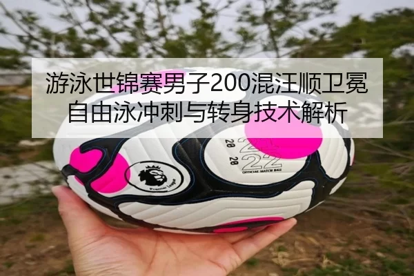 游泳世锦赛男子200混汪顺卫冕 自由泳冲刺与转身技术解析